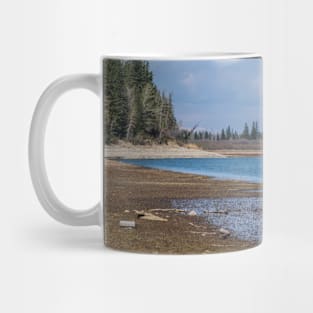 Before the spring run-off Mug